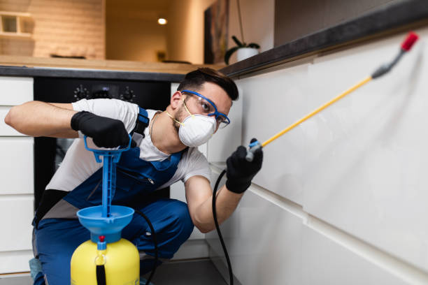 Best Pest Control Near Me  in Bryant, WA