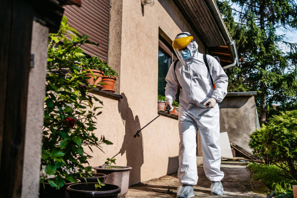 Best Local Pest Control Services  in Bryant, WA