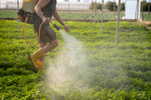 Best Local Pest Control Services  in Bryant, WA