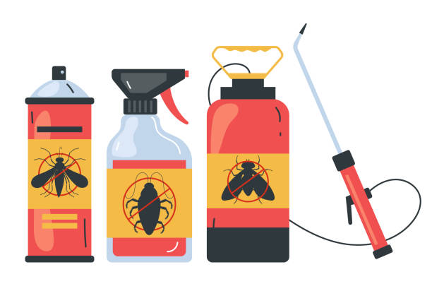 Best Spider Control Near Me  in Bryant, WA
